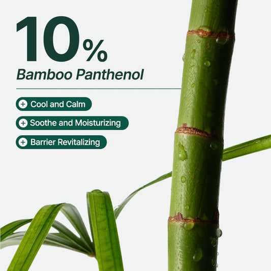 Bamboo stalk with text highlighting bamboo panthenol benefits on a white background