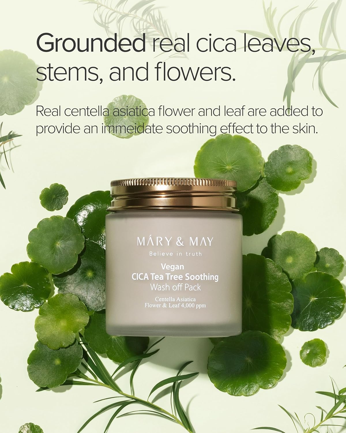 Mary & May Cica Tea Tree Soothing Wash Pad with centella asiatica leaves on a green background
