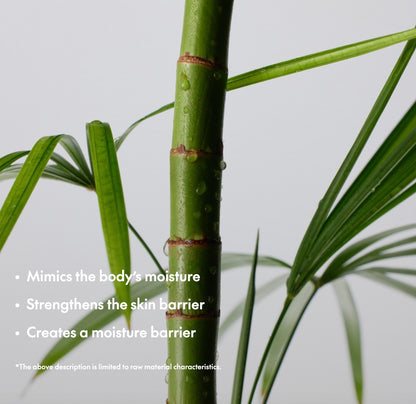 Close-up of a green plant stem with leaves on a light gray background